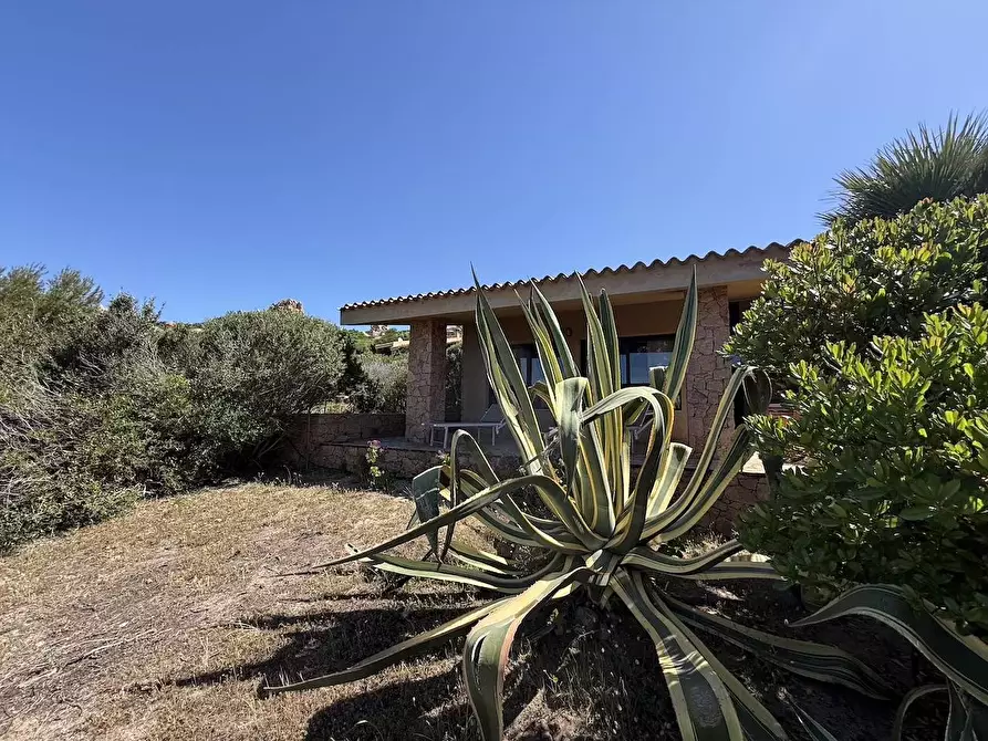 Immagine 3 di Villa in vendita  in Via Lu Ciuoni a Trinità D'agultu E Vignola
