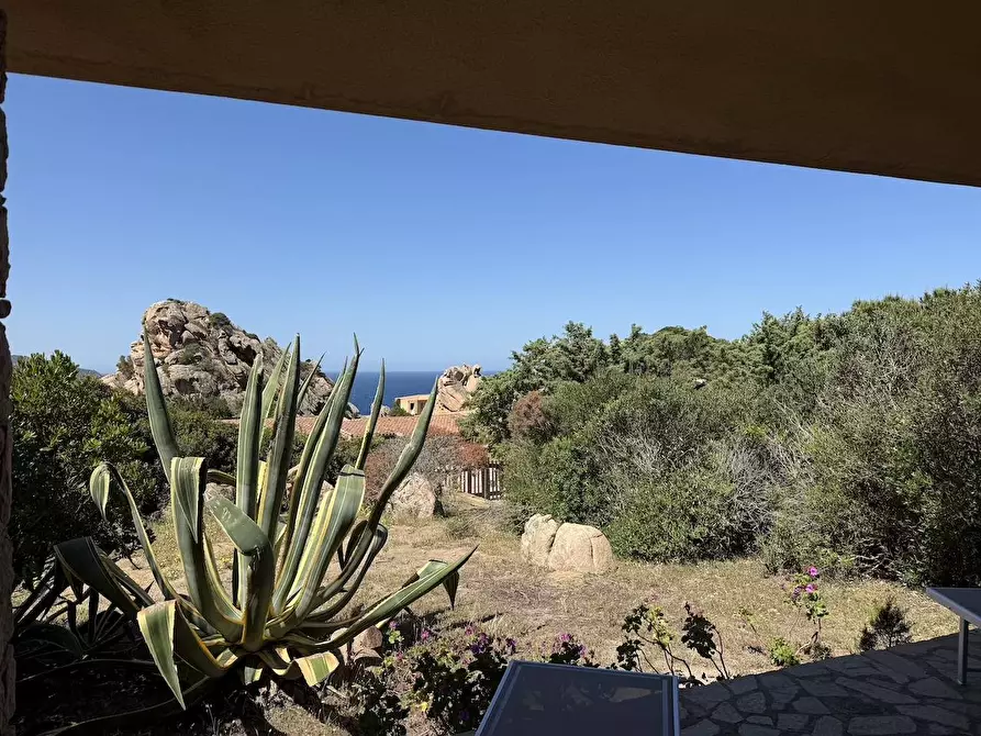 Immagine 13 di Villa in vendita  in Via Lu Ciuoni a Trinità D'agultu E Vignola