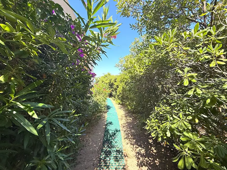 Immagine 25 di Villetta a schiera in vendita  in Via La Sarrera a Trinità D'agultu E Vignola