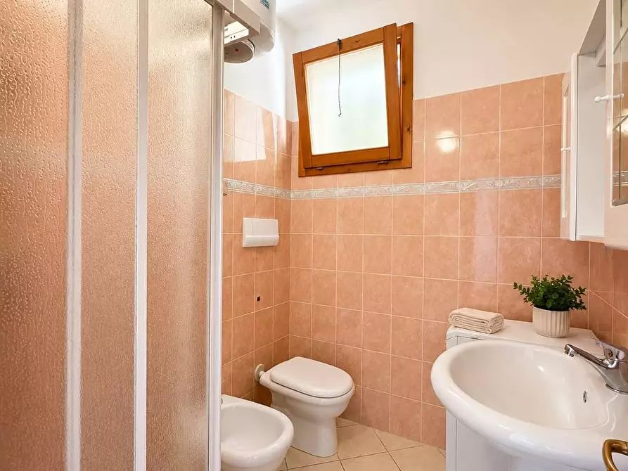 Immagine 6 di Appartamento in vendita  a Trinità D'agultu E Vignola