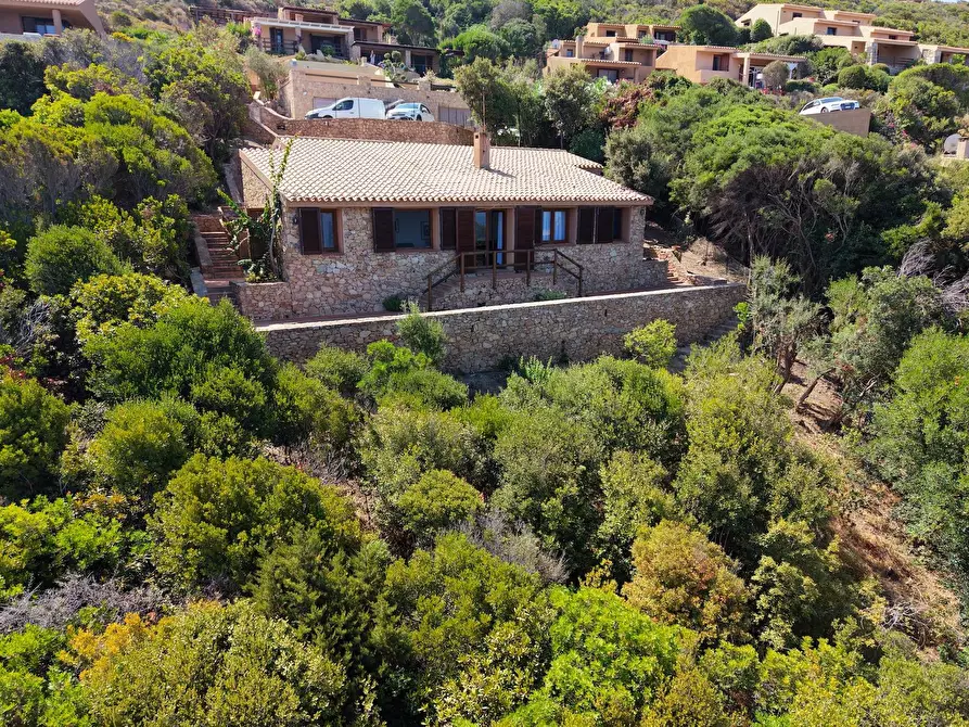 Immagine 4 di Villa in vendita  a Trinità D'agultu E Vignola