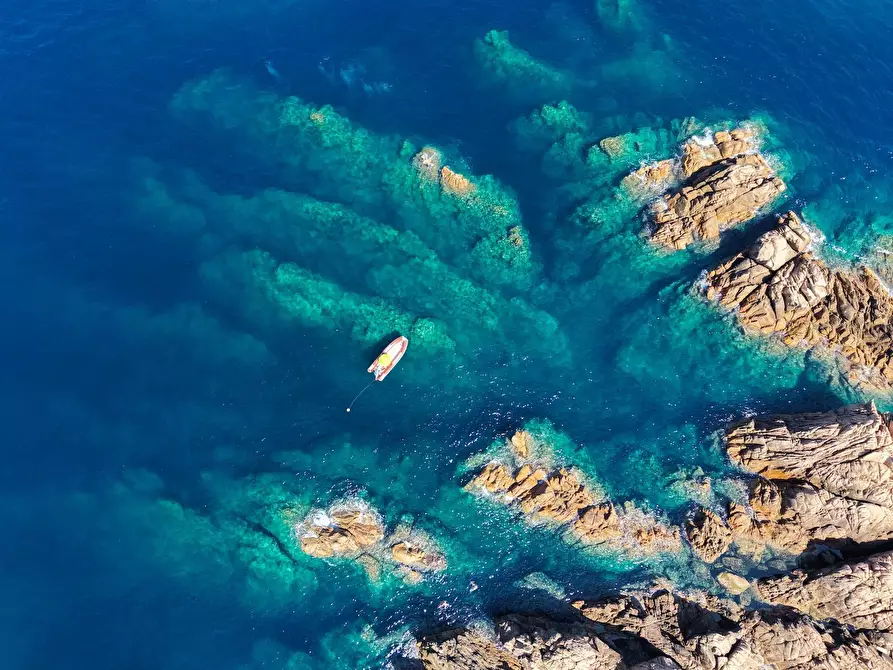 Immagine 20 di Villa in vendita  a Trinità D'agultu E Vignola
