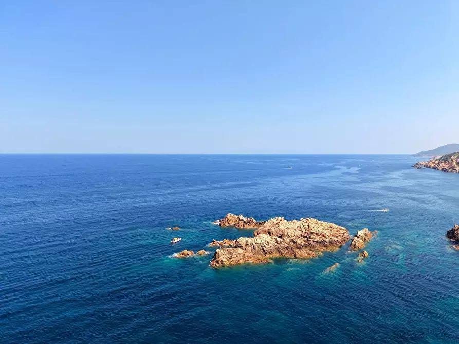 Immagine 40 di Villa in vendita  a Trinità D'agultu E Vignola