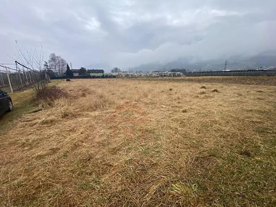 terreno agricolo in vendita a Pergine Valsugana