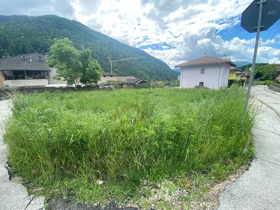 Immagine 2 di Terreno residenziale in vendita  a Pergine Valsugana