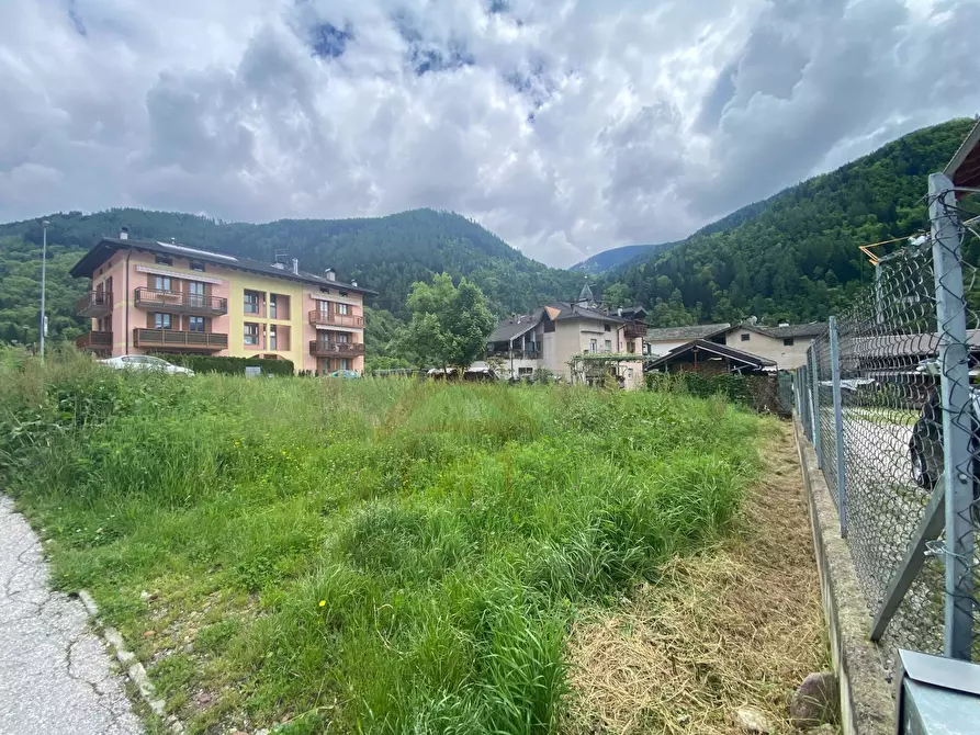 Immagine 3 di Terreno residenziale in vendita  a Pergine Valsugana
