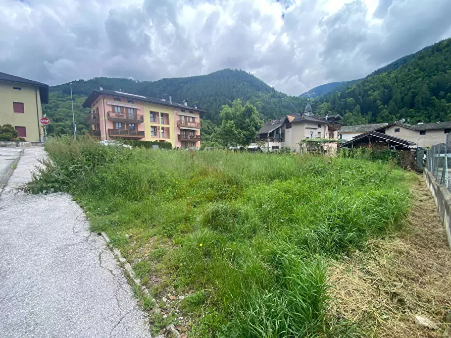 Immagine 5 di Terreno residenziale in vendita  a Pergine Valsugana