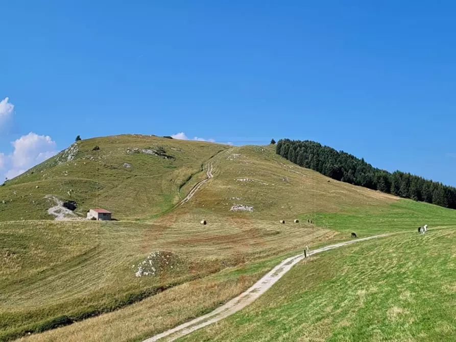 Immagine 15 di Appartamento in vendita  in Localita' Norge 35 a Trento