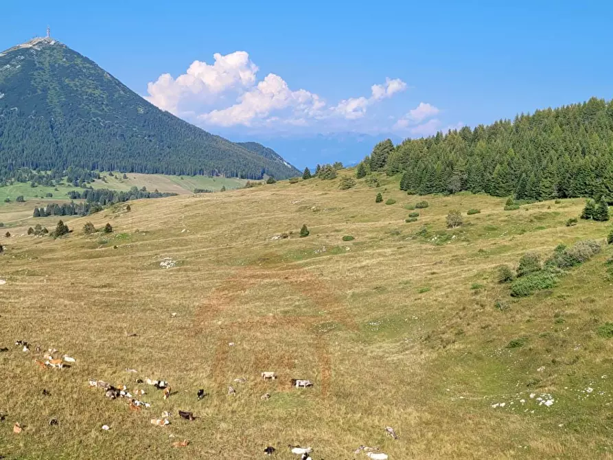 Immagine 16 di Appartamento in vendita  in Localita' Norge 35 a Trento