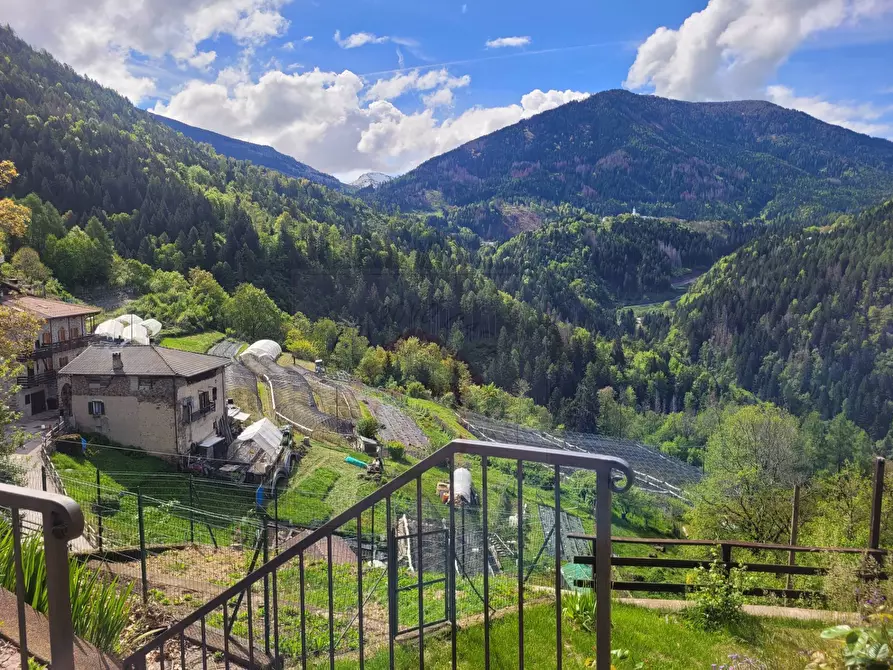 Immagine 17 di Appartamento in vendita  in Fraz. Quaras 18 a Segonzano