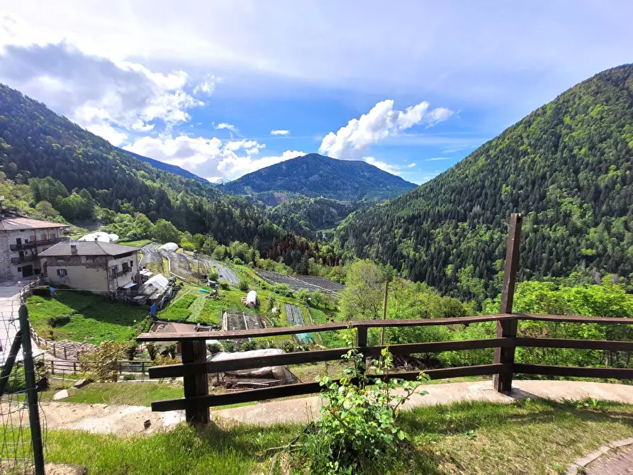 Immagine 18 di Appartamento in vendita  in Fraz. Quaras 18 a Segonzano