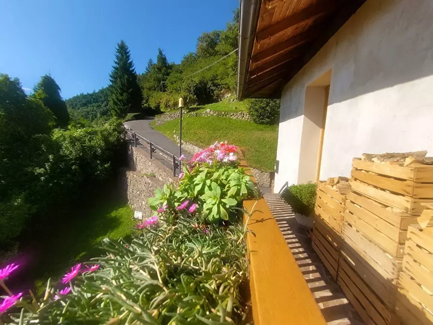 Immagine 24 di Appartamento in vendita  in Fraz. Quaras 18 a Segonzano