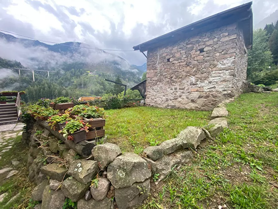 Immagine 1 di Appartamento in vendita  a Segonzano