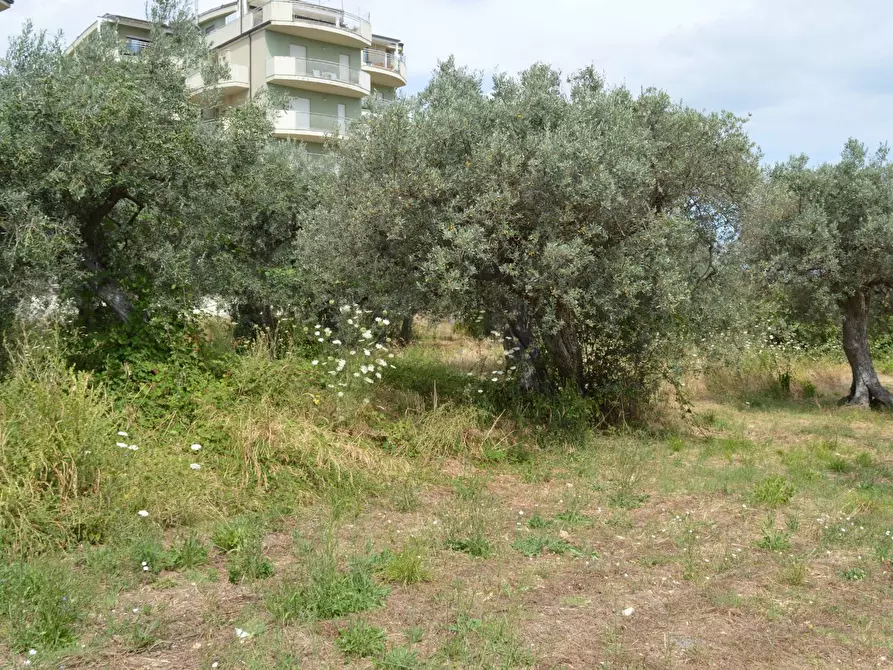 Immagine 4 di Terreno agricolo in vendita  in VIA DEL PORTO a Vasto