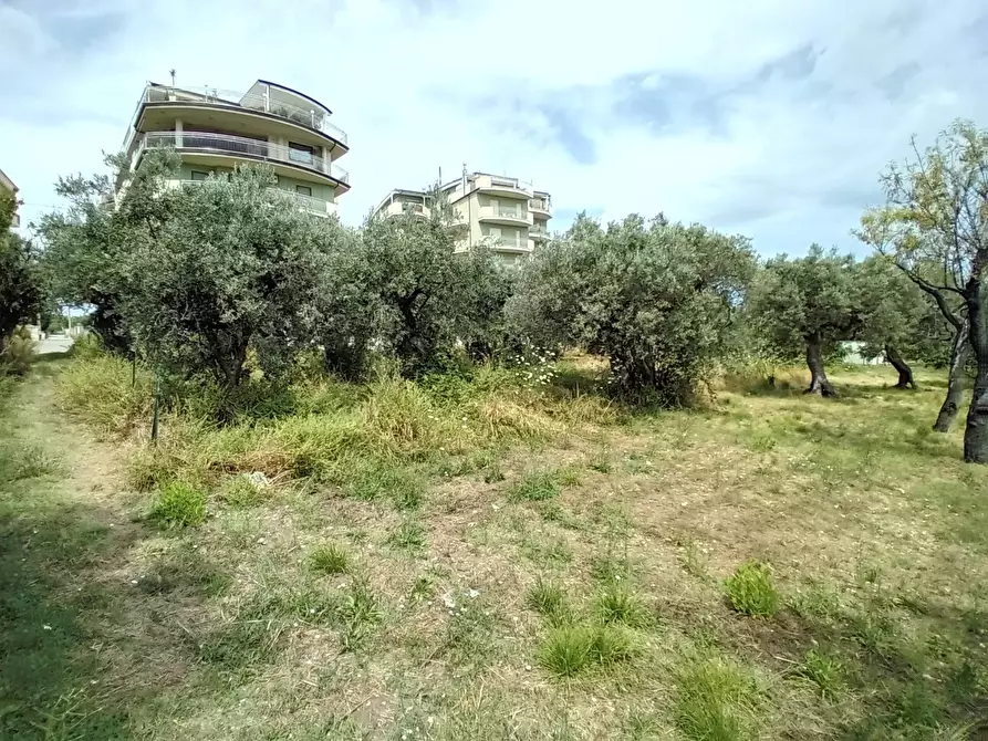 Immagine 6 di Terreno agricolo in vendita  in VIA DEL PORTO a Vasto