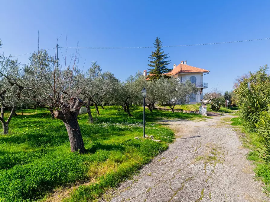 Immagine 6 di Villa in vendita  in Via Piana del Lago 47 a Casalbordino