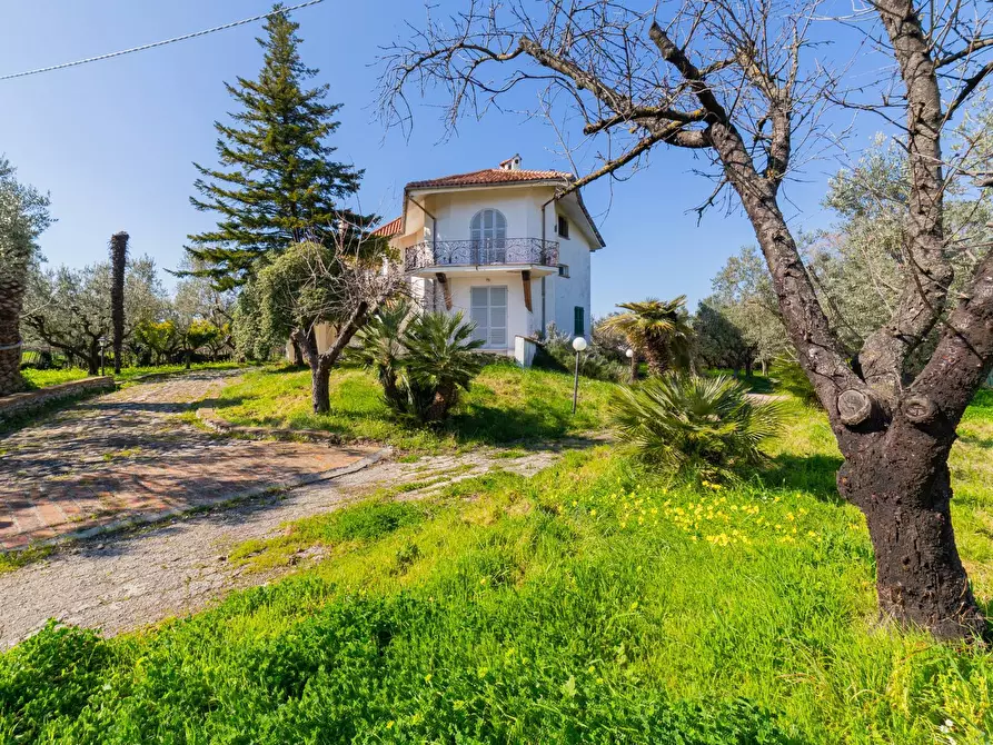 Immagine 3 di Villa in vendita  in Via Piana del Lago 47 a Casalbordino