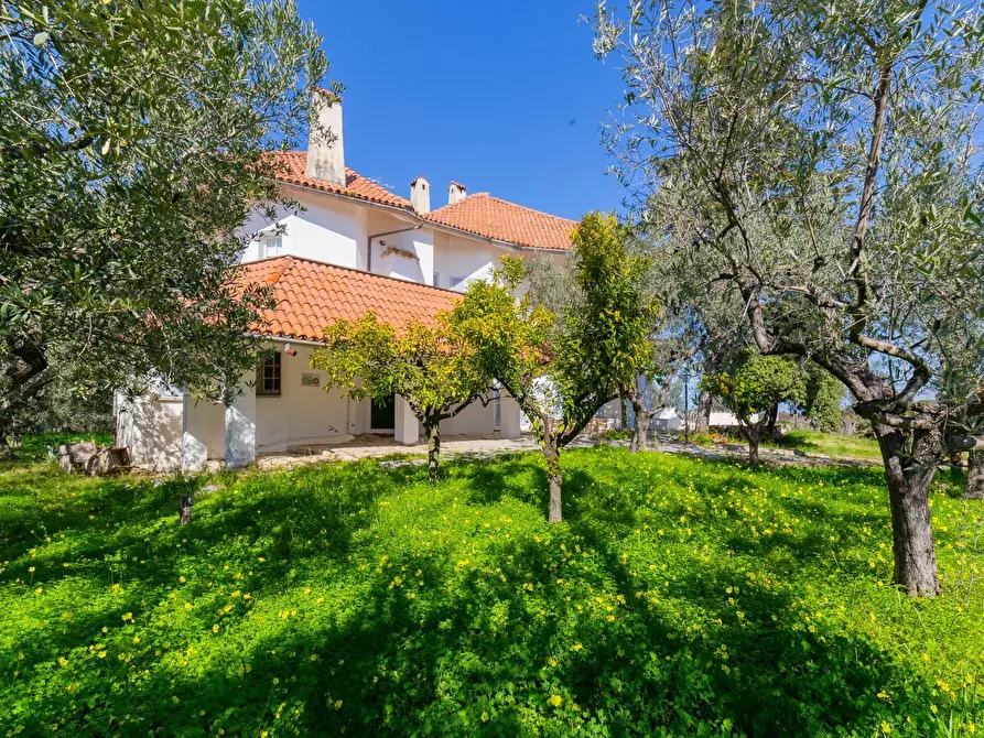 Immagine 5 di Villa in vendita  in Via Piana del Lago 47 a Casalbordino
