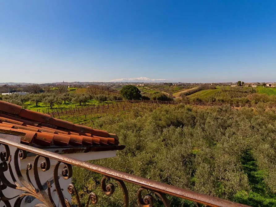 Immagine 63 di Villa in vendita  in Via Piana del Lago 47 a Casalbordino