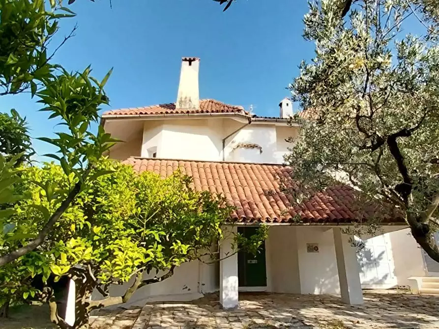 Immagine 4 di Villa in vendita  in Via Piana del Lago 47 a Casalbordino
