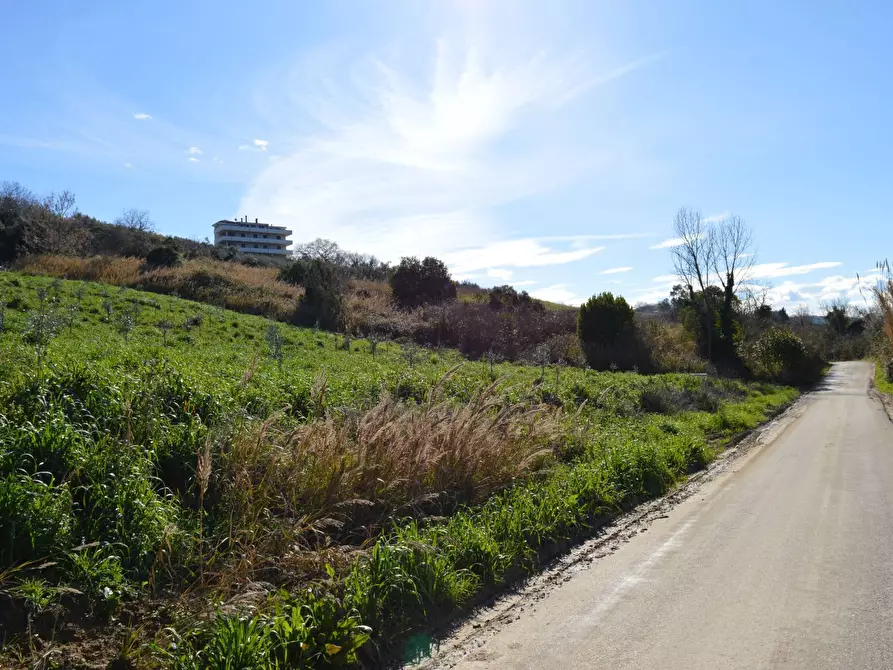 Immagine 1 di Terreno agricolo in vendita  in LOCALITA' FONTE GRUGNALE a Vasto