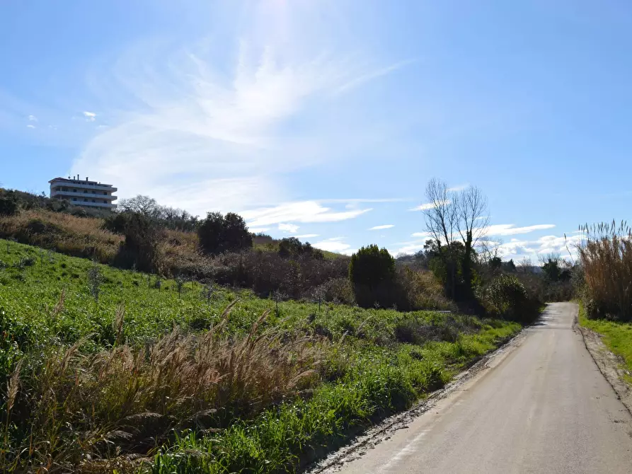 Immagine 3 di Terreno agricolo in vendita  in LOCALITA' FONTE GRUGNALE a Vasto