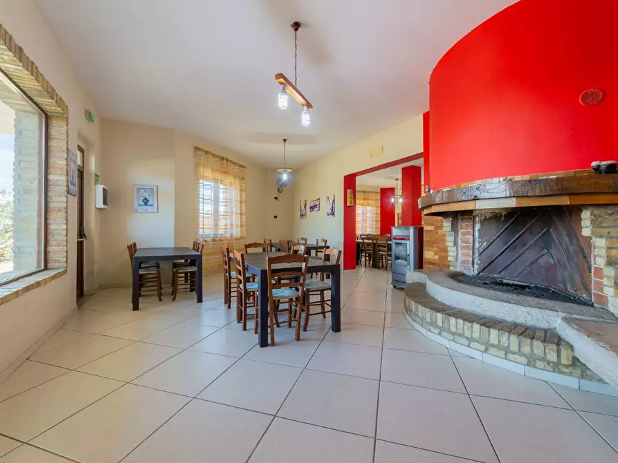 Immagine 4 di Azienda agricola in vendita  in VIA VILIGNINA 50 a Vasto