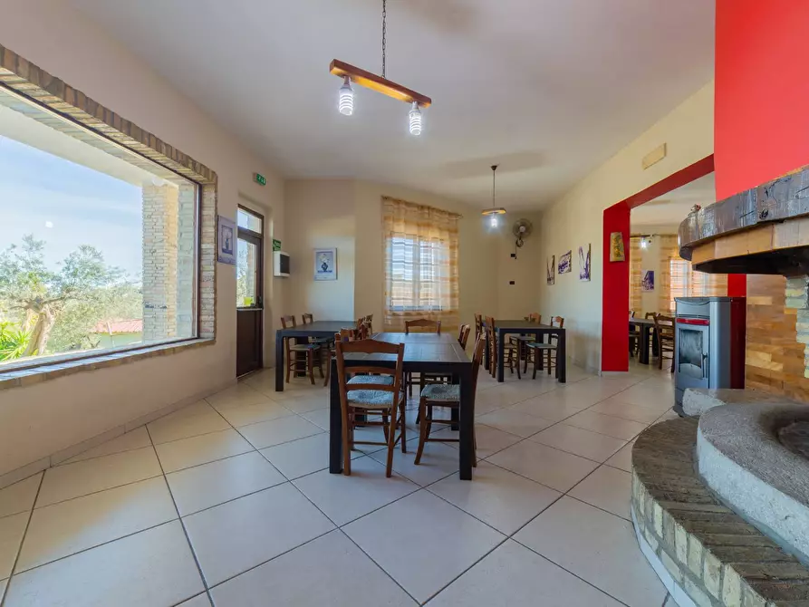 Immagine 5 di Azienda agricola in vendita  in VIA VILIGNINA 50 a Vasto