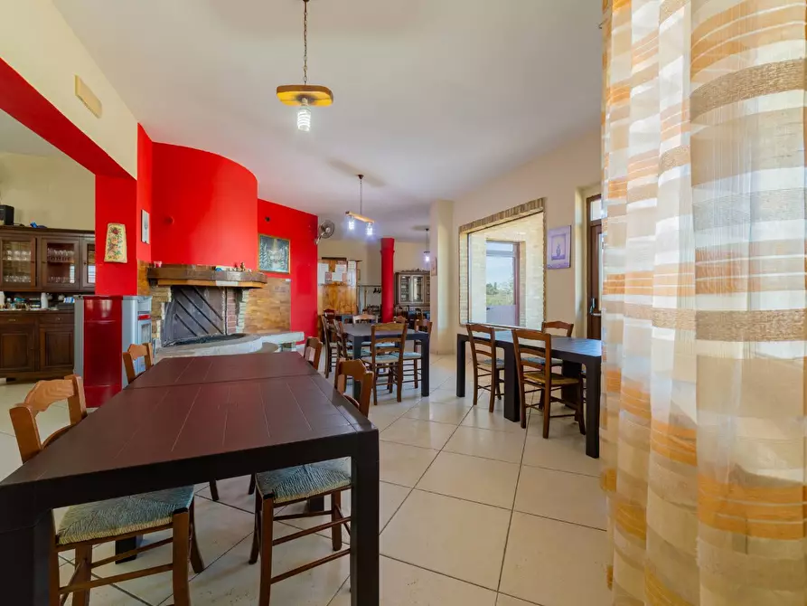 Immagine 6 di Azienda agricola in vendita  in VIA VILIGNINA 50 a Vasto