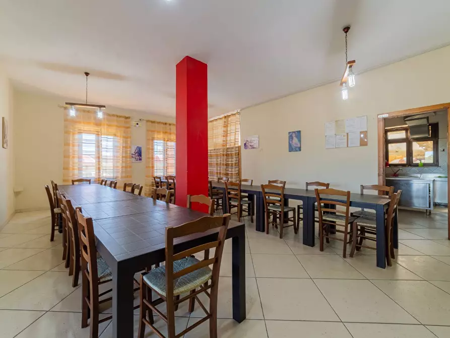 Immagine 8 di Azienda agricola in vendita  in VIA VILIGNINA 50 a Vasto