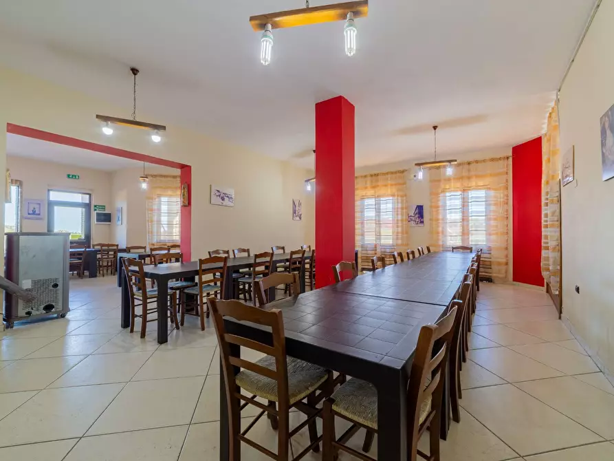 Immagine 9 di Azienda agricola in vendita  in VIA VILIGNINA 50 a Vasto