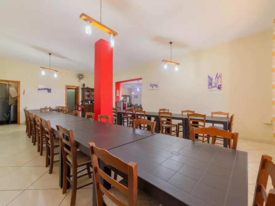 Immagine 10 di Azienda agricola in vendita  in VIA VILIGNINA 50 a Vasto