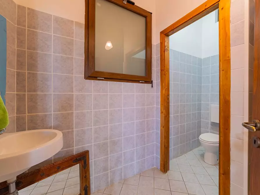 Immagine 12 di Azienda agricola in vendita  in VIA VILIGNINA 50 a Vasto