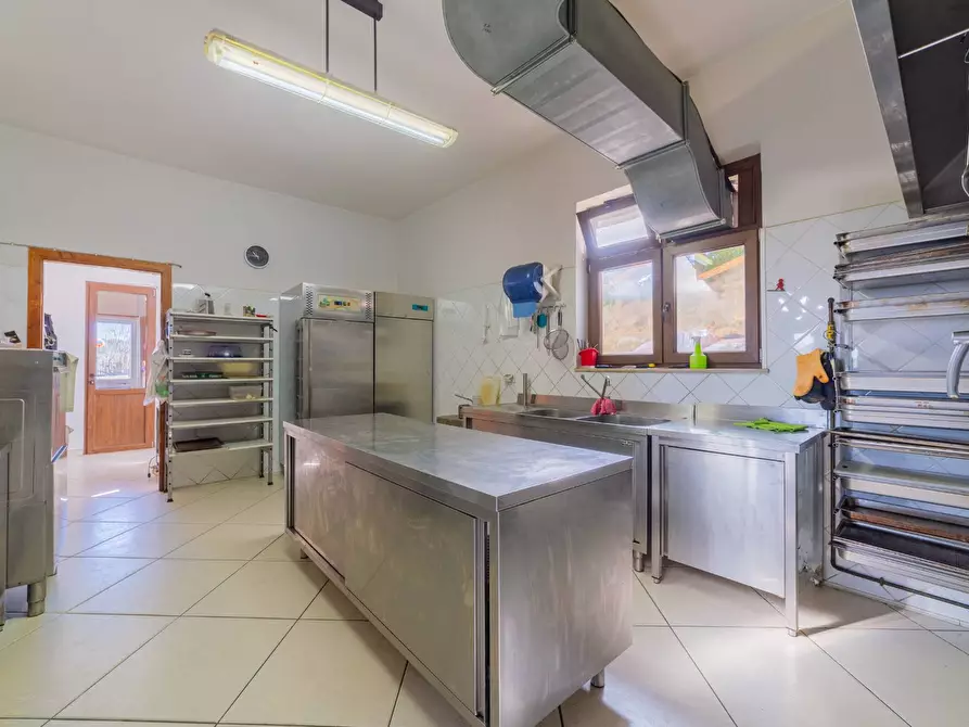 Immagine 13 di Azienda agricola in vendita  in VIA VILIGNINA 50 a Vasto