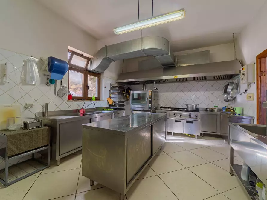 Immagine 14 di Azienda agricola in vendita  in VIA VILIGNINA 50 a Vasto