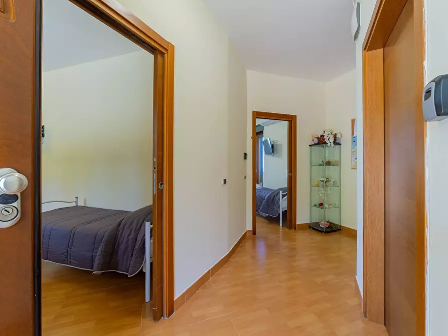 Immagine 22 di Azienda agricola in vendita  in VIA VILIGNINA 50 a Vasto