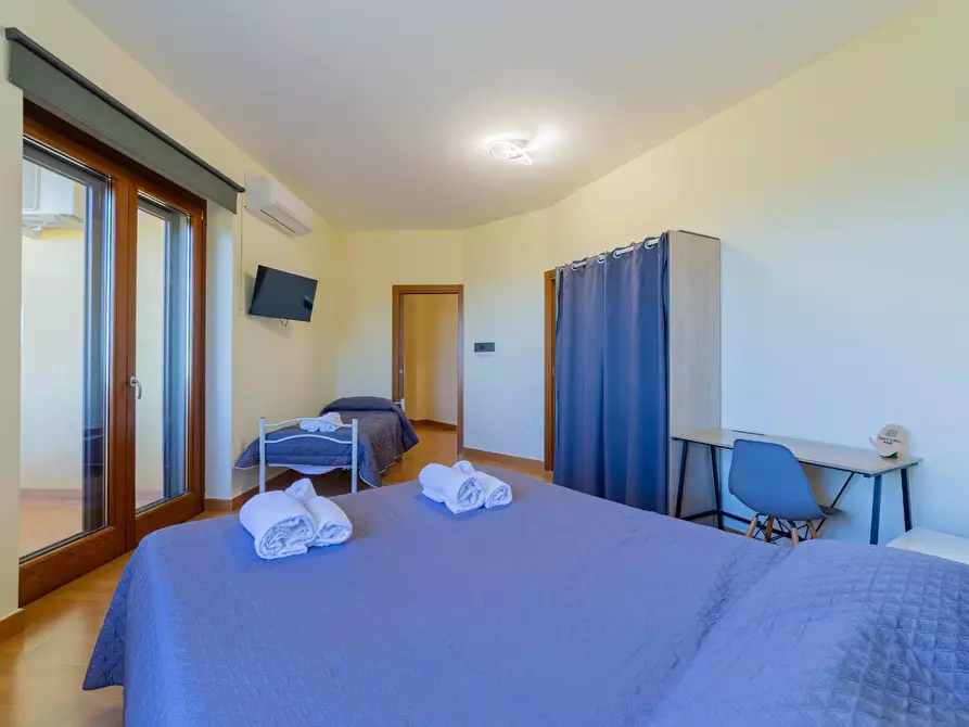 Immagine 24 di Azienda agricola in vendita  in VIA VILIGNINA 50 a Vasto