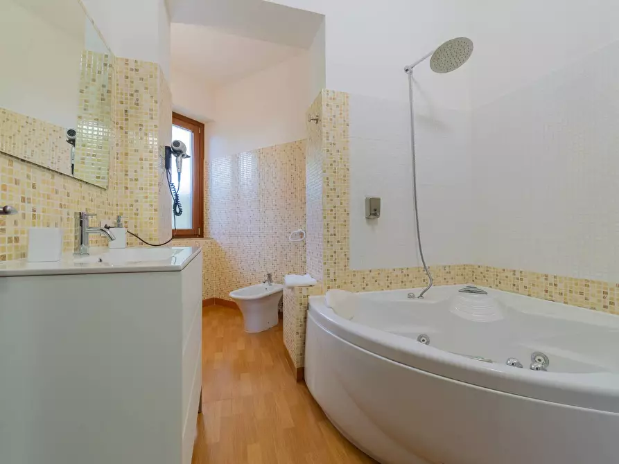 Immagine 37 di Azienda agricola in vendita  in VIA VILIGNINA 50 a Vasto