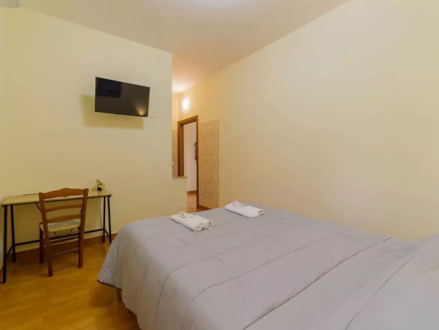 Immagine 38 di Azienda agricola in vendita  in VIA VILIGNINA 50 a Vasto