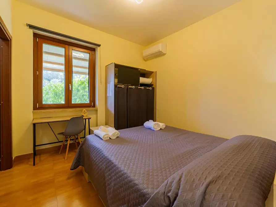 Immagine 41 di Azienda agricola in vendita  in VIA VILIGNINA 50 a Vasto