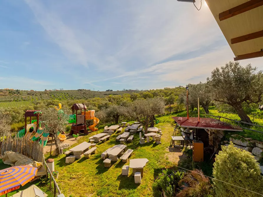 Immagine 46 di Azienda agricola in vendita  in VIA VILIGNINA 50 a Vasto