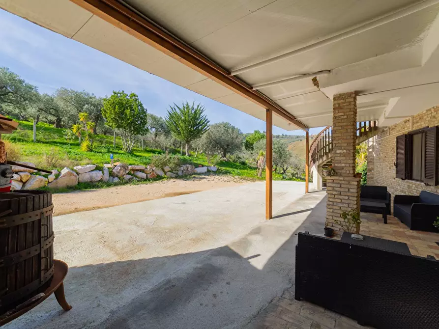 Immagine 49 di Azienda agricola in vendita  in VIA VILIGNINA 50 a Vasto