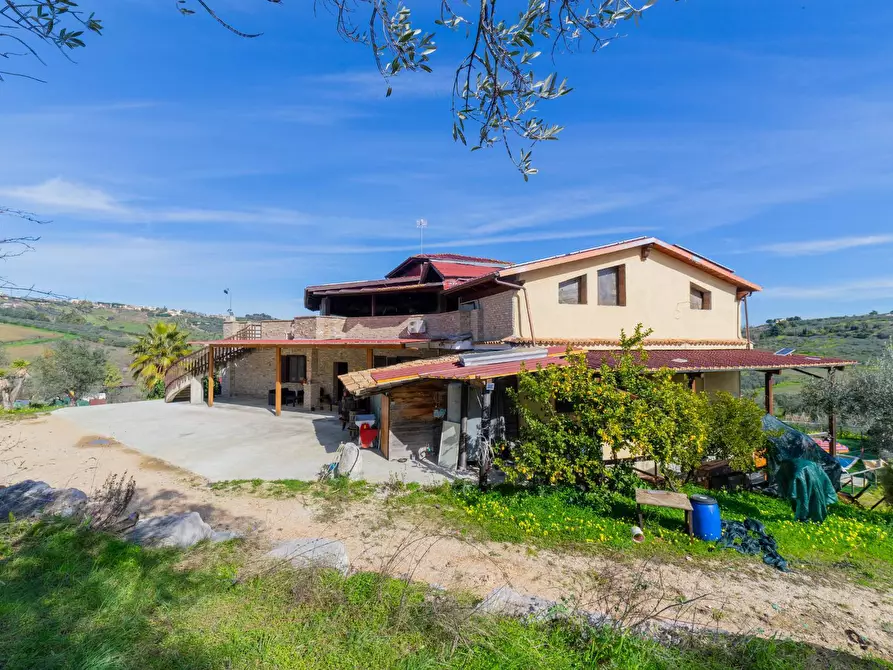 Immagine 20 di Azienda agricola in vendita  in VIA VILIGNINA 50 a Vasto