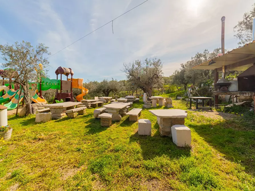 Immagine 18 di Azienda agricola in vendita  in VIA VILIGNINA 50 a Vasto