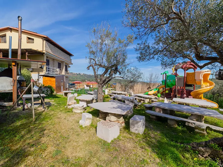 Immagine 16 di Azienda agricola in vendita  in VIA VILIGNINA 50 a Vasto