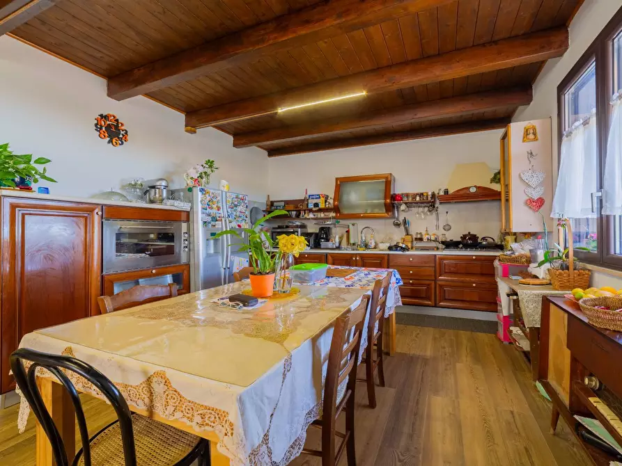 Immagine 55 di Azienda agricola in vendita  in VIA VILIGNINA 50 a Vasto