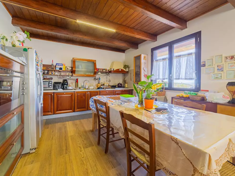 Immagine 57 di Azienda agricola in vendita  in VIA VILIGNINA 50 a Vasto