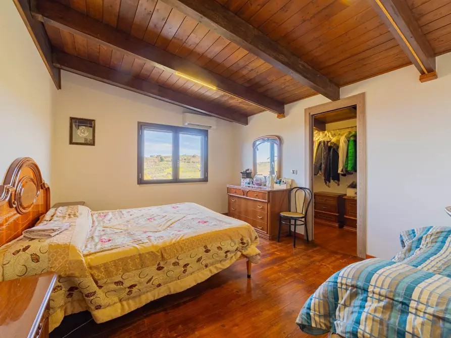 Immagine 58 di Azienda agricola in vendita  in VIA VILIGNINA 50 a Vasto