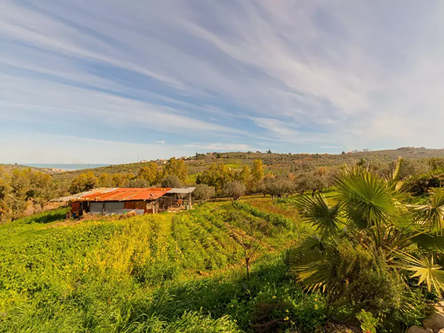 Immagine 62 di Azienda agricola in vendita  in VIA VILIGNINA 50 a Vasto