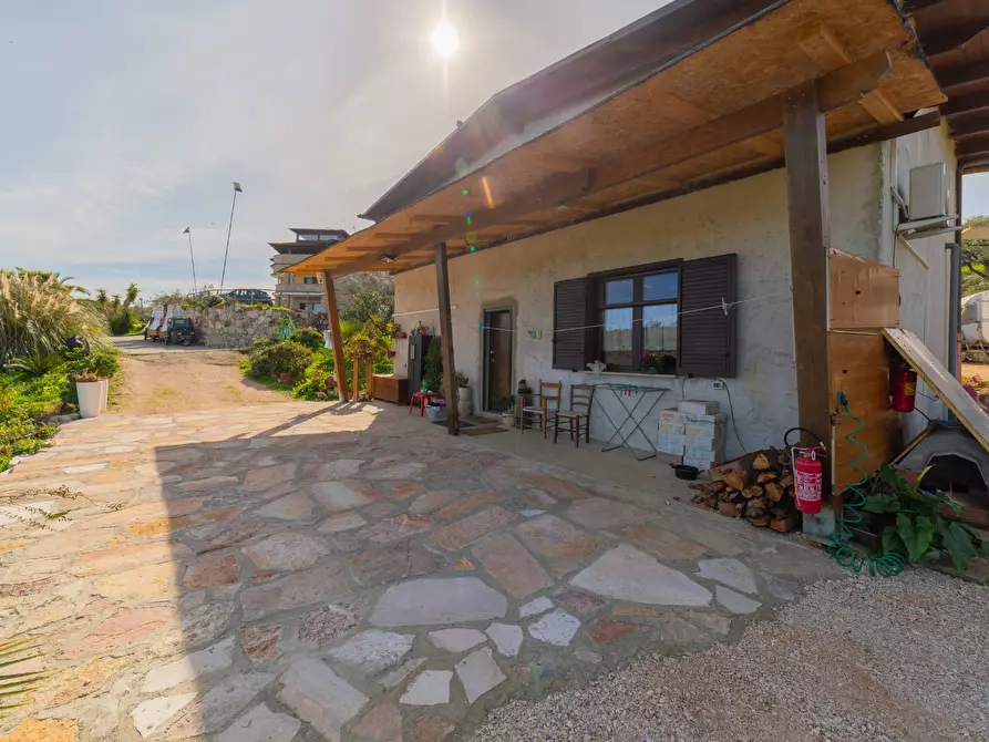 Immagine 52 di Azienda agricola in vendita  in VIA VILIGNINA 50 a Vasto